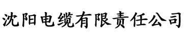 秋霞毛片电影电缆厂logo